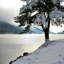 푸름다음 이미지