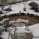 생태연못 이미지