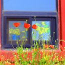 항아리집 이미지