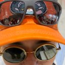 신흥농장 | 야야야! 제주살이 1편이다