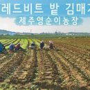 영순농장 이미지