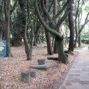 사적인 제주 이미지