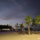 해변여행횟집 이미지