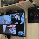 Girl PC방 | 일상글임.. 단종빠의 '왕과 사는 남자' 후기