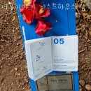 제주도게스트하우스 나무이야기 게스트하우스 남원점 서귀포가볼만한곳 근처 게스트하우스 추천