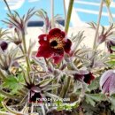 가장자리 이미지