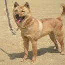 용필농장 이미지