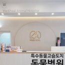 메디힐동물병원