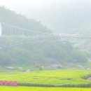 2026년10월11일(일) 오두봉(556m) /전북 정읍 이미지
