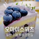 오마이스위츠 이미지
