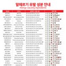롤링파스타광주호남대점