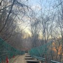민주지산자연휴양림 이미지