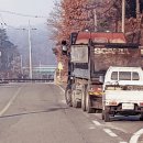 일철농장 이미지