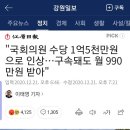 "국회의원 수당 1억5천만원으로 인상…구속돼도 월 990만원 받아" 이미지