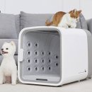 베스트드라이 이미지