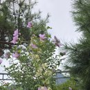 포천 산정호수 둘레길 이미지