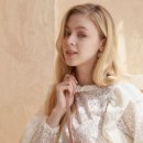 에브리데이 펫 이미지