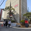 대학로 혜화 연극 &#39;꽃의 비밀&#39; 관람 후기, 연기력 넘치는 배우분들 덕분에 몰입감 넘쳤던 2시간 순삭 (3...