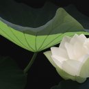 일기일회 이미지