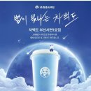 별빛백도 | 부산 서면 차백도 오픈 이벤트 메뉴 추천 보냉백 내돈내산 망고사고 거봉