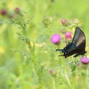 도열농장 이미지