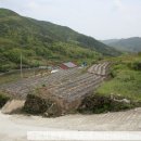 하늘합동공인중개사사무소 이미지