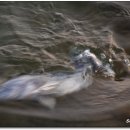 등대바다낚시터 이미지