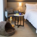 스테이펫_호텔 이미지