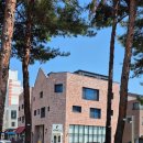 초록동 | [카페/경기 화성 동탄] 브런치가 맛있고 초록뷰가 예뻤던 동2 브런치카페 엘리타 내돈내산 후기