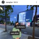 안경몬스터 이미지