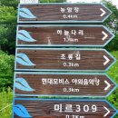 색동다리 네이버블로그