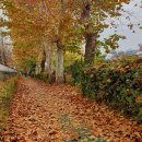 세화여자중학교 이미지