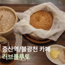러브 애견 | [증산역/불광천 카페] 애견동반·스팀베이글 맛집 '러브플루토' 내돈내산 후기 | 조용한 카페 추천