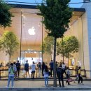 신사동-19 이미지