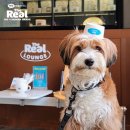 더 아이스크림 이미지