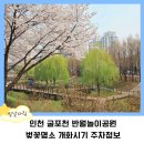 반월놀이공원 이미지