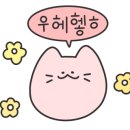 한도모터스