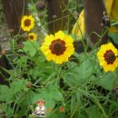 등원1리 이미지