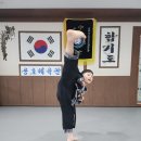 용호체육관 이미지