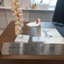 [내돈내산] 연세 두드림 정형외과의원