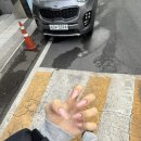 설월여자고등학교 | you know what he said to me?