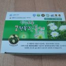 양구흰민들레
