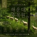 나들이 | 해운대수목원 꿈의놀이터 &amp; 양가족 나들이 후기