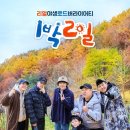 1박2일PC 티스토리