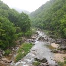 힐링스테이 우드밸리 이미지