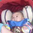 의관목장 이미지