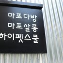 하이펫살롱 이미지