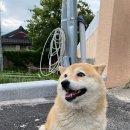 칠암약국 이미지