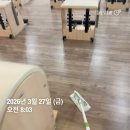 LIFE STRENGTH GYM | [청결부터 퀄리티까지, 헬스보이짐 대전시청점 필라테스]