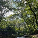 서울대공원 캠핑장 이미지